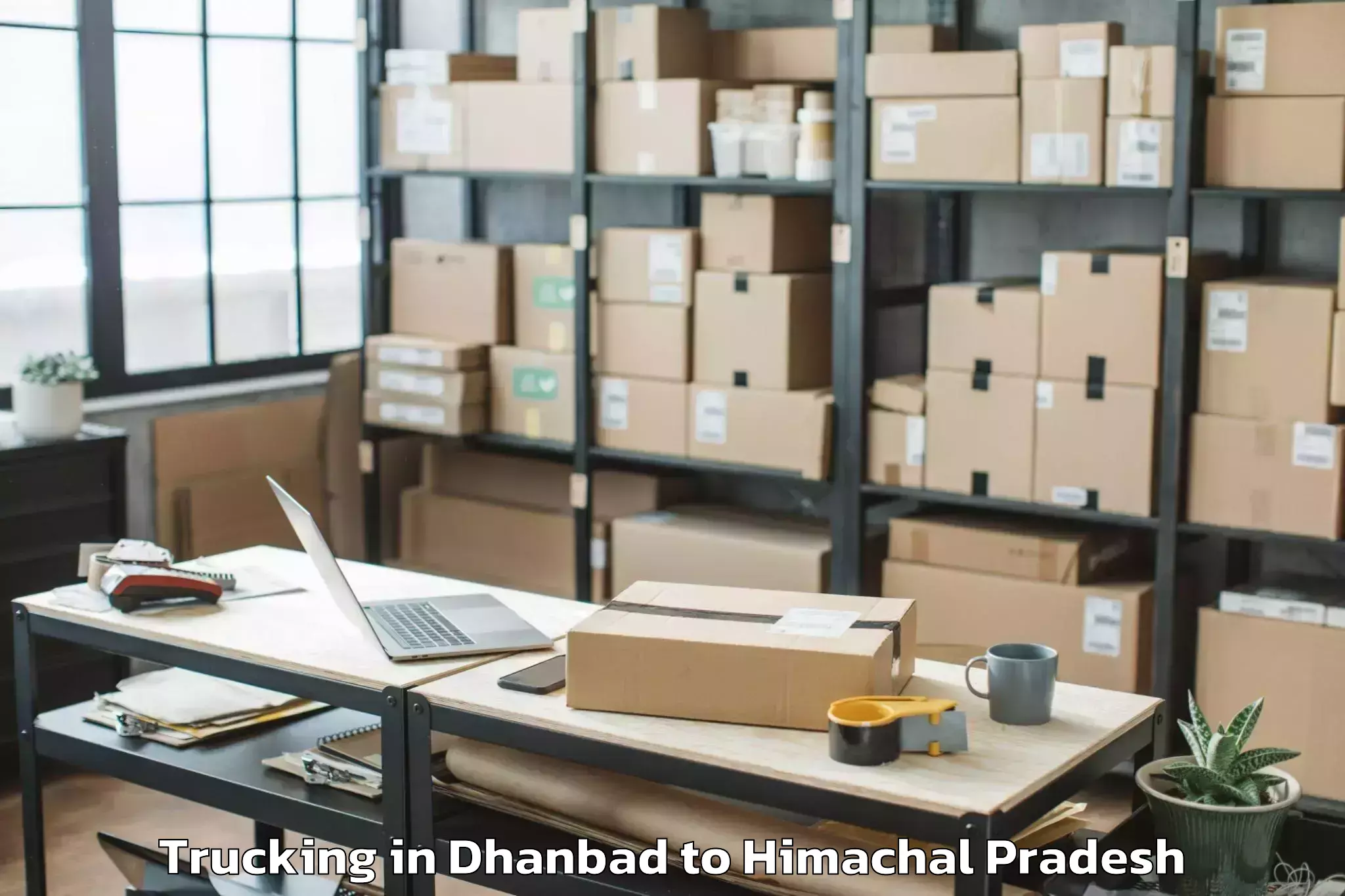 Easy Dhanbad to Chachyot Trucking Booking